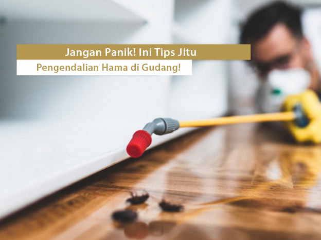 Jangan Panik! Ini Tips Jitu Pengendalian Hama di Gudang!